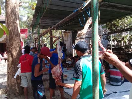 Penyembelihan Hewan Qurban di Dusun Mangir Kidul